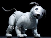 Sony возобновляет разработку роботизированной собаки AIBO