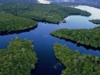 Строительство плотин может навредить бассейну Амазонки
