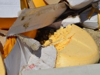 Фото и видео уничтожения санкционного сыра в Белгороде