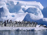 Ученые нашли причину быстрого обледенения Антарктиды