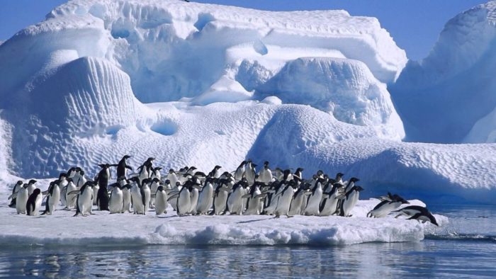 Учены нашли причину быстрого обледенения Антарктиды