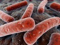 Ученые из Британии совершили революцию в диагностике туберкулеза