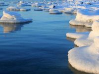 Ученые из Manhattan Project предложили установить морозильные установки в Арктике, чтобы предотвратить быстрое таяние льдов