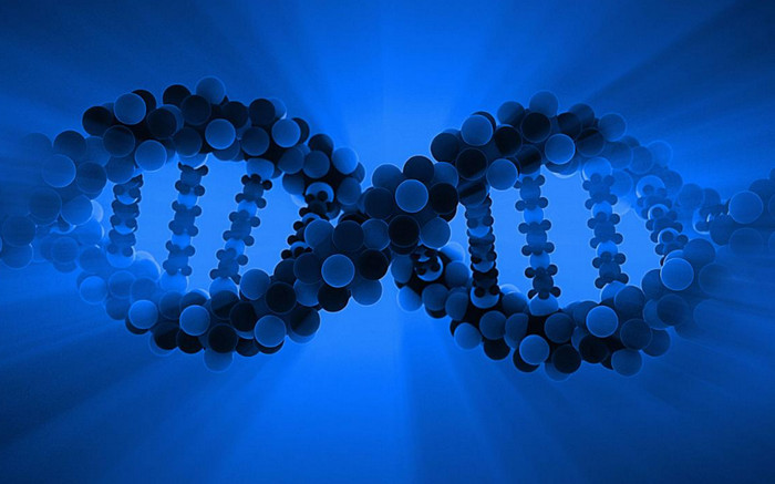 Ученые могут получить разрешение на генную модификацию человека