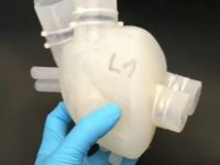Ученые напечатали силиконовое сердце на 3D принтере
