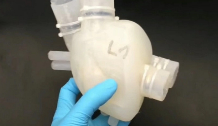 Ученые "напечатали" силиконовое сердце на 3D принтере
