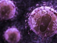 Ученые нашли антитело, уничтожающее 99% штаммов ВИЧ