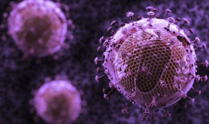 Ученые нашли антитело, уничтожающее 99% штаммов ВИЧ