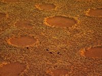 Ученые объяснили причину появления «ведьминых кругов» в Намибии