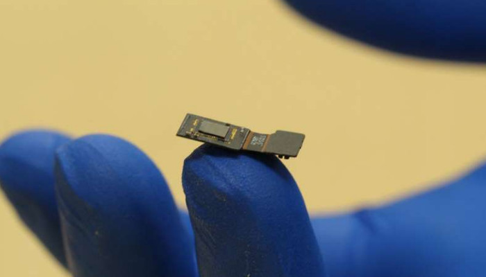 Ученые разрабатывают чип, восстанавливающий зрение и слух