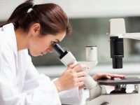 Ученые смогут получать любой тип тканей из стволовых клеток