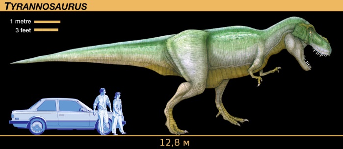 Американские ученые выяснили, что тираннозавр не мог быстро бегать