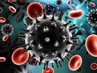 Ученым впервые удалось очистить от ВИЧ-вируса клетки подопытных животных
