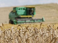 Украинские аграрии сделали предоплату за 300 тыс. тонн удобрений