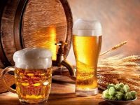 Умеренное употребление пива снижает риск инсульта, – ученые