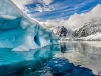 В Антарктиде зарегистрирована рекордно высокая температура 17,5 по Цельсию