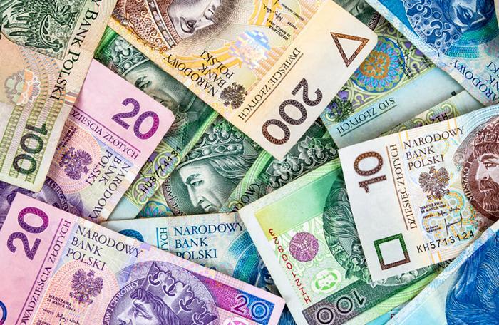 В ближайшие 10 лет Польша не будет вводить евро