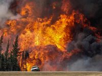 В Калифорнии из-за масштабных пожаров проводят эвакуацию населения