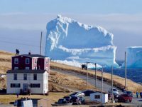 В Канаде туристы наблюдают за гигантскими айсбергами