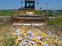 В России уже уничтожили 9 тыс. тонн санкционных продуктов
