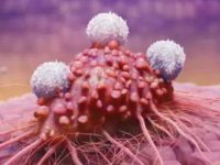 В США одобрен новый метод клеточной терапии от онкологических заболеваний