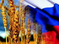 В Турции отменили ограничения на импорт пшеницы из России