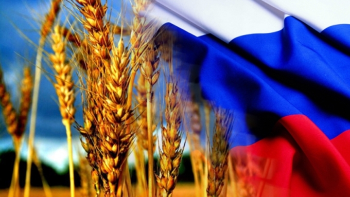 В Турции отменили ограничения на импорт пшеницы из России