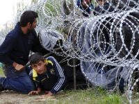 Венгрия потребовала от Евросоюза денег за пограничный забор