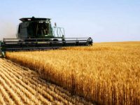 Всемирный банк выступил за снятие моратория на продажу земель в Украине