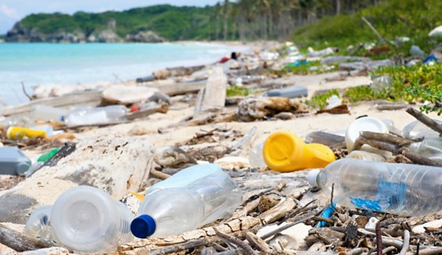 Земля становится "пластиковой планетой", - ученые